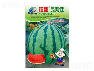 �G������-���ϷN��-���-�����r(n��ng)�I(y��)