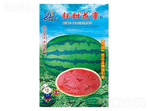 �����-���ϷN��-�����r(n��ng)�I(y��)