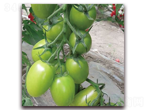 �G��ʯ2̖(h��o)-С���ѷN��-����