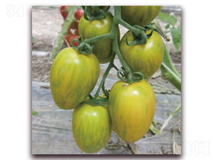 ����2̖(h��o)-С���ѷN��-����