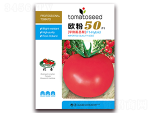 �W��50F1-�۹����ѷN��-����