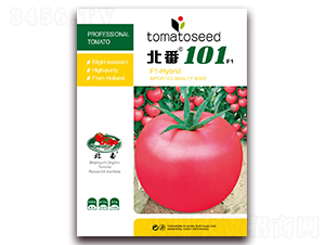 ����101F1-�۹����ѷN��-����