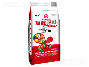 ���ߌ��Ï�(f��)�����15-9-11-���w