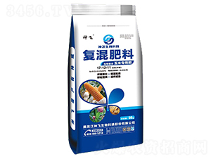 ���׌��Ï�(f��)�����17-12-11-���w