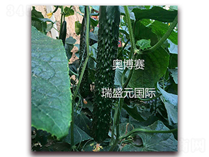 �W��ِ-�S�ϷN��-��ʢԪ