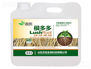 5kg�����-���R-ؐ������