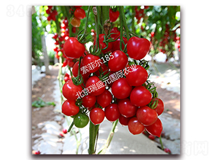 ���Ơ�185-���ҷ��ѷN��-��ʢԪ