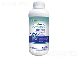 ��(x��)��������-���R-ؐ������ 