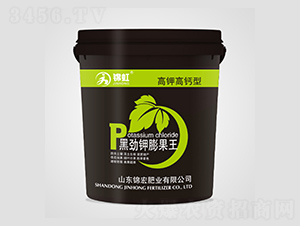 �ڄ�������-�\��