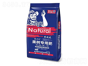 ���䌣�÷�10-20-10+TE-�ʸ炃-���|��