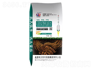 ��s��(f��)��΢�������-������-���A�r(n��ng)