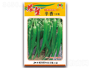 ����13̖-�⽷�N��-�r(n��ng)��