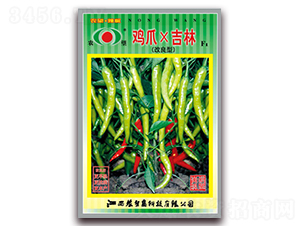 �uצ�����ָ�����-�⽷�N��-�r(n��ng)��