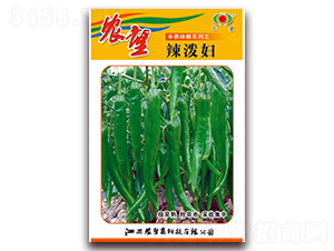 �����D-�⽷�N��-�r(n��ng)��