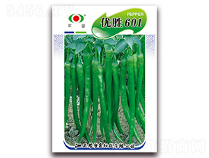 ��(y��u)��601-�����N��-�r(n��ng)��