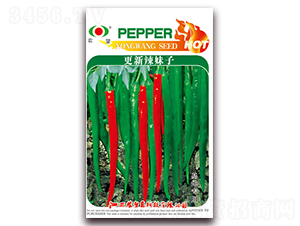 ����������-�����N��-�r(n��ng)��