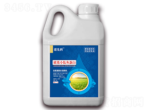 ̼��С���~����-�Z�ȿ�-�r(n��ng)�Z����