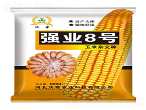 ��(qi��ng)�I(y��)8̖(h��o)-���׷N��-�����r(n��ng)�I(y��)