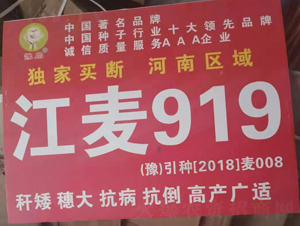 ����919-С���N��-�����r�I(y��)