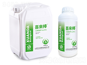 �������-ϲ����-܎�_(d��)����