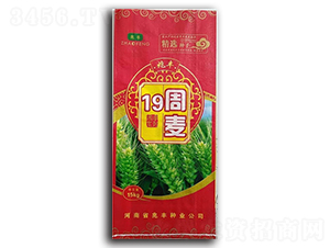 ����19-С���N��-���S