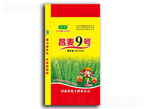 ����9̖(h��o)-С���N��-���S