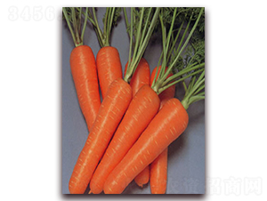 �t�S901-���}���N��-���r(n��ng)���v