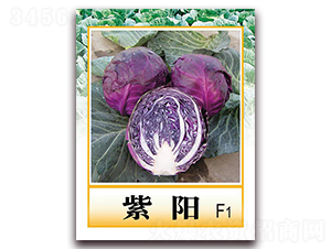 ���F1-�ϸ��{(l��n)�N��-���r(n��ng)���v