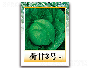 �ɸ�3̖F1-������{(l��n)�N��-���r(n��ng)���v