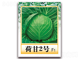 �ɸ�2̖F1-������{(l��n)�N��-���r(n��ng)���v