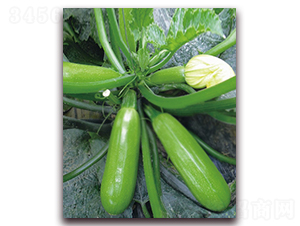 �����Ĺ�-�����J�N��-���r(n��ng)���v