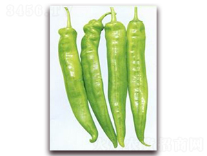 ����-ţ�ǽ��N��-���r(n��ng)���v