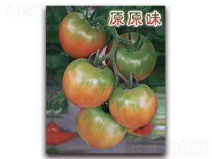 ԭԭζ-��ݮ���ӷN��-���r(n��ng)���v