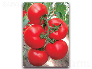 ����X3F1-��TY�۹����ѷN��-���r(n��ng)���v