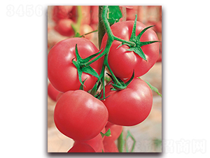 ���m�����̖(h��o)F1-����۹����ѷN��-���r(n��ng)���v