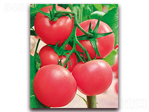 ���m�޷�F1-�����Ժ�Ӳ�۷��ѷN��-���r(n��ng)���v