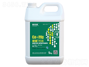 �}�V+Ca+Mg-����-������