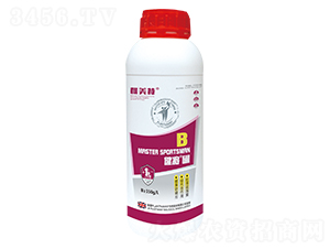 ��-����-������