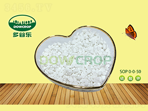 �w�������SOP0-0-50-��Ș�