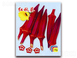 �t���-����N��-�ꂥ�N�I(y��)