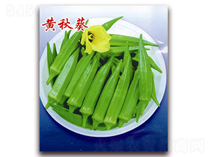 �S���-����N��-�ꂥ�N�I(y��)