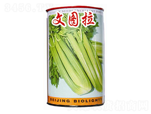 �ĈD��-�۲˷N��-�ꂥ�N�I(y��)