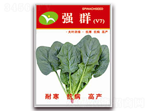 ��Ⱥ-���˷N��-�ꂥ�N�I(y��)