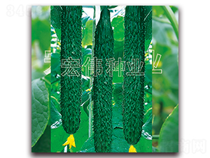 ���r(n��ng)��̖(h��o)-�S�ϷN��-�ꂥ�N�I(y��)