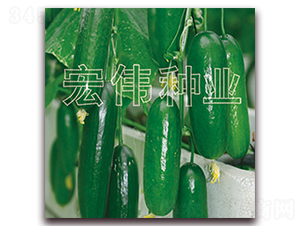 ���m��̖(h��o)-�S�ϷN��-�ꂥ�N�I(y��)