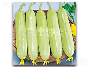 ���ˮ���S��-�S�ϷN��-�ꂥ�N�I(y��)