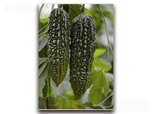 �ڿ��-��ϷN��-�ꂥ�N�I(y��)