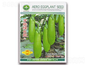 ��G�L��-���ӷN��-�ꂥ�N�I(y��)