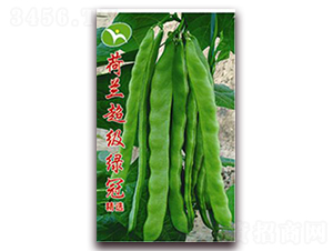 ���m�����G��-���ǷN��-�ꂥ�N�I(y��)