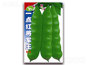 һ�c�t��܊��-���ǷN��-�ꂥ�N�I(y��)